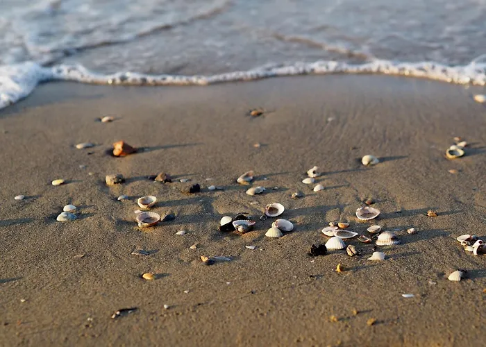 Modern Flat With Large Terrace * Бибионе